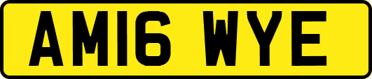 AM16WYE