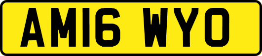 AM16WYO