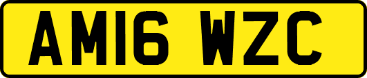 AM16WZC