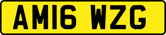 AM16WZG