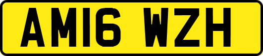 AM16WZH