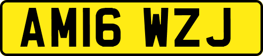 AM16WZJ