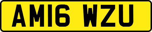 AM16WZU