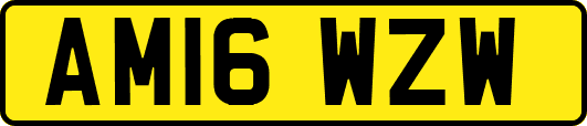 AM16WZW