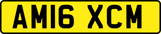 AM16XCM