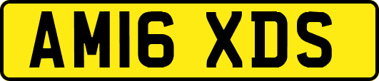 AM16XDS