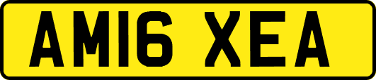 AM16XEA