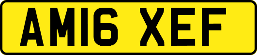 AM16XEF