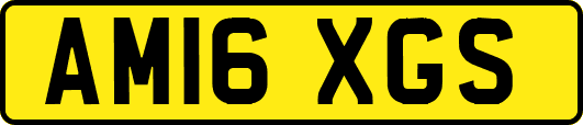 AM16XGS