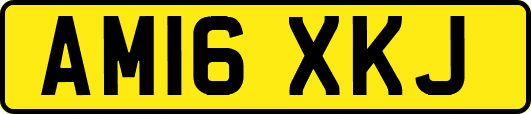 AM16XKJ