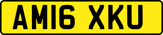 AM16XKU