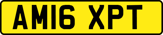 AM16XPT