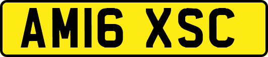 AM16XSC