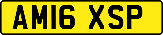 AM16XSP