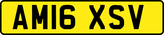AM16XSV
