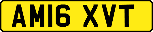 AM16XVT