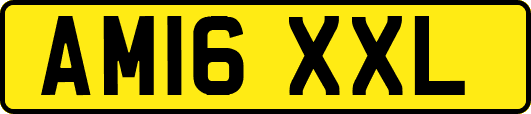 AM16XXL