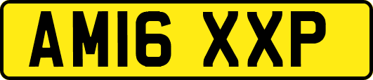 AM16XXP