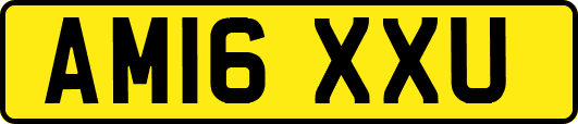 AM16XXU