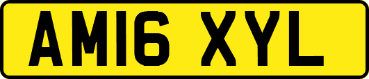 AM16XYL