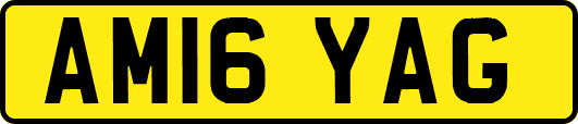 AM16YAG