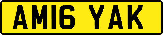 AM16YAK