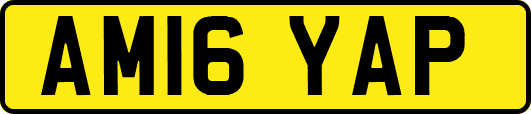 AM16YAP