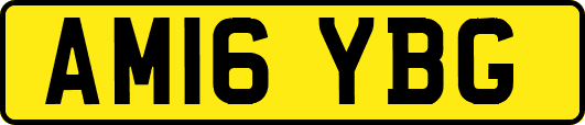 AM16YBG