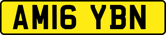 AM16YBN