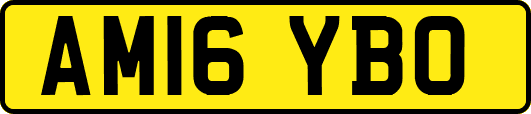 AM16YBO