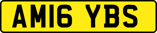 AM16YBS