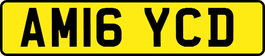AM16YCD