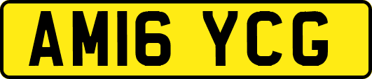 AM16YCG