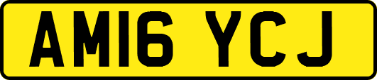 AM16YCJ