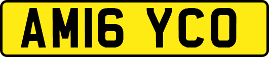 AM16YCO