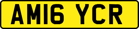 AM16YCR