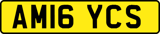 AM16YCS