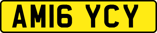 AM16YCY