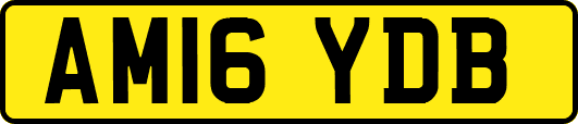 AM16YDB