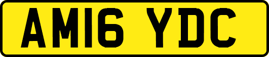 AM16YDC