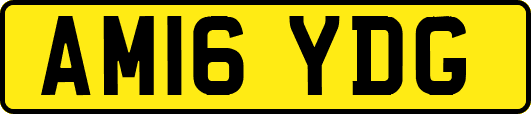 AM16YDG