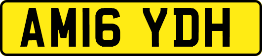 AM16YDH