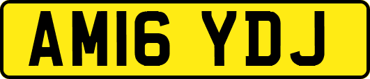 AM16YDJ