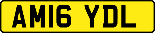 AM16YDL