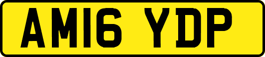 AM16YDP