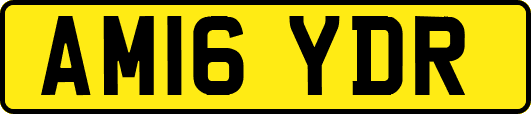 AM16YDR