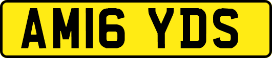 AM16YDS