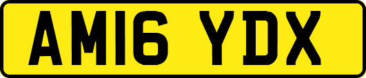 AM16YDX