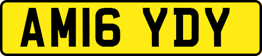 AM16YDY
