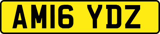 AM16YDZ